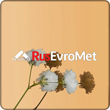 Декоративная нержавеющая сталь  Mirror Nickel Silver
